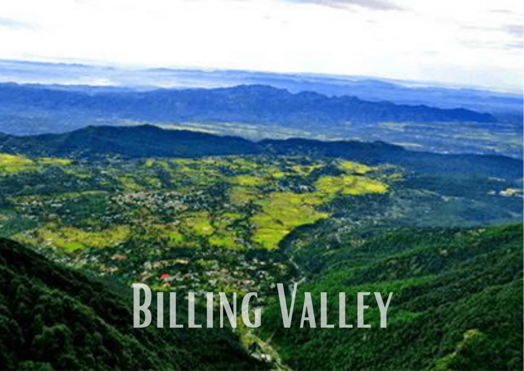 Billing Valley