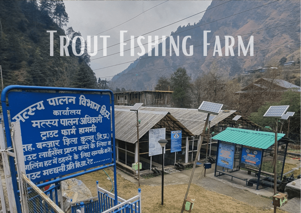Trout Fishing Farm