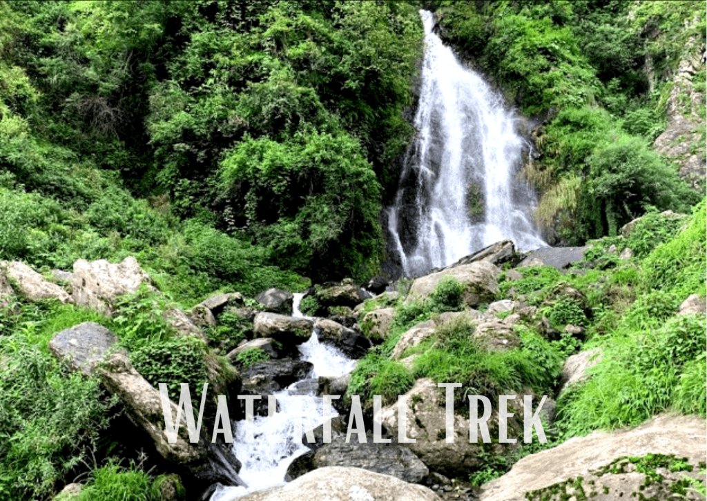 Waterfall Trek